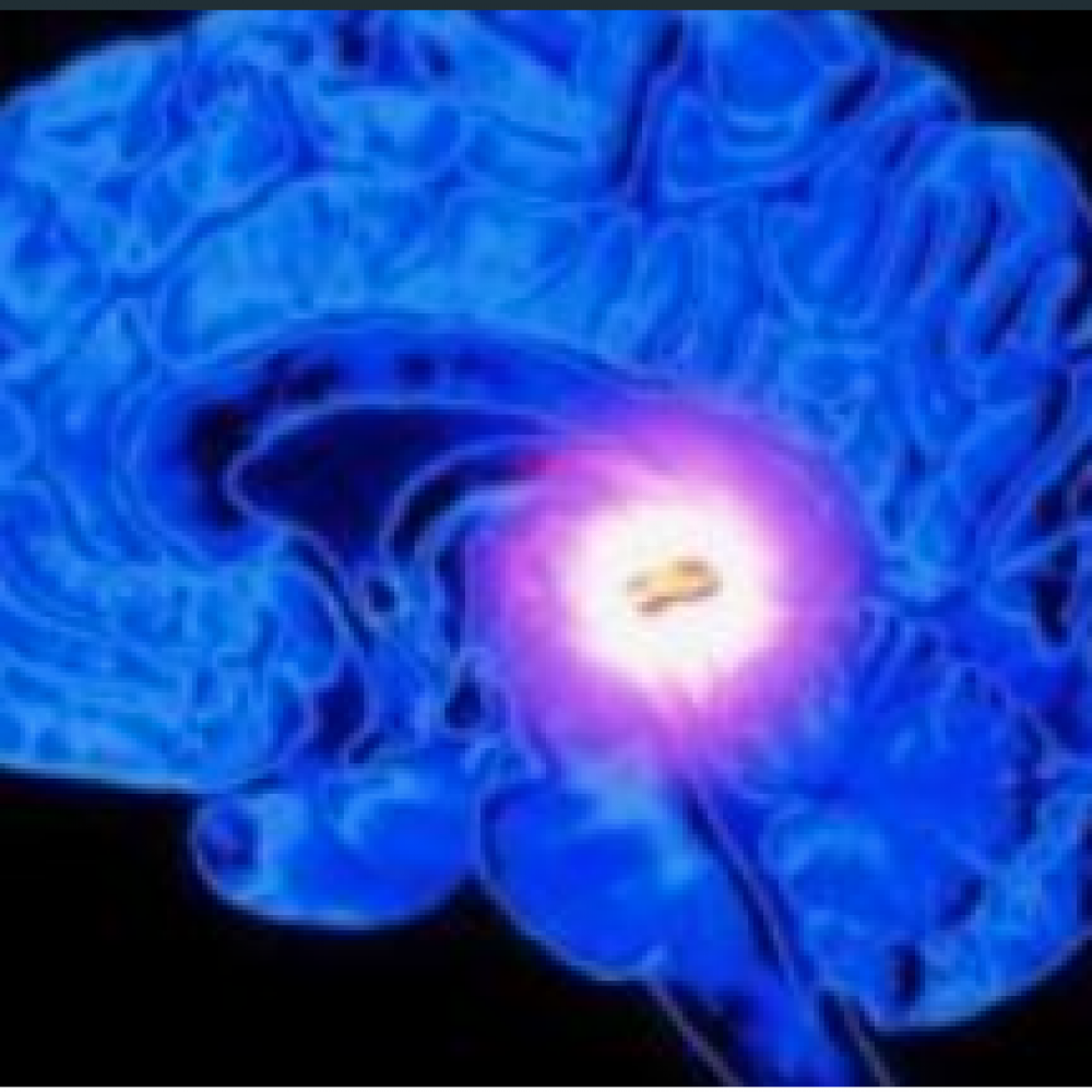 Captura de Pantalla 2023-04-05 a la(s) 16.34.45